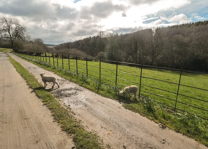 Norah's Nook Casa vacanze